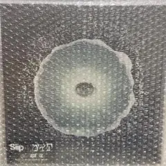 Siip CD 未開封 ガイア