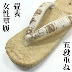 畳表草履 L寸 L 5段 女性用 女性 女 女用 着物 帯 畳 畳表 草履 本 