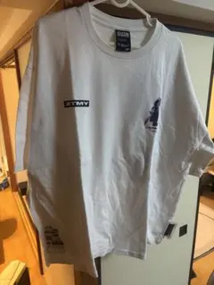 Item thumbnail for item 1a6cd48c-c29f-454e-bf14-ab9fe066faf1