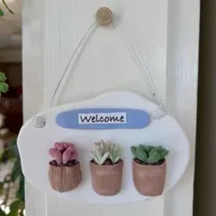 ナチュラル鉢　多肉植物　ウェルカムボード　樹脂粘土　ハンドメイド