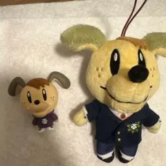 ジェネ犬 白濱亜嵐 セット