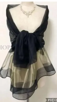 Item thumbnail for item 206ecf2b-627d-4917-ac48-00aa18baec1f