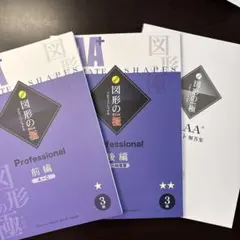 希少未記入❣️ 図形の極み　図形のきわみ　プロフェッショナル　1級　裁断済み 2026年最新】図形の極の人気アイテム - メルカリ