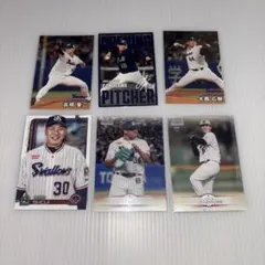 東京ヤクルトスワローズ カード おまとめセット