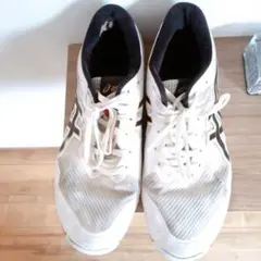 Item thumbnail for item 202362ce-a0bd-465b-a3a9-fa74bb4caa2a