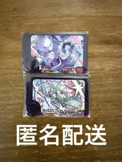 ポケモンフレンダ　ベストタッグ1だん　ミュウツー　サーナイト