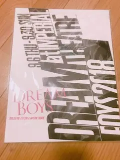 DREAMBOYS パンフレット