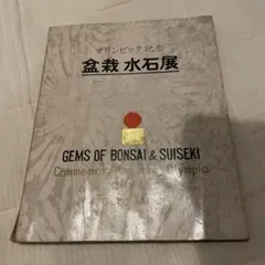 2025年最新】水石展の人気アイテム - メルカリ