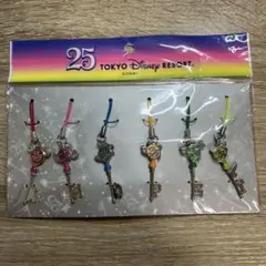 東京ディズニーリゾート 25周年 キー型ストラップ 6種セット
