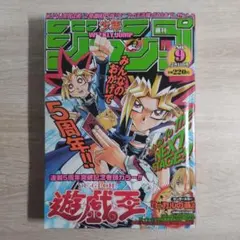 週刊少年ジャンプ 2002年9号 遊戯王巻頭カラーONE PIECE ビビの冒険