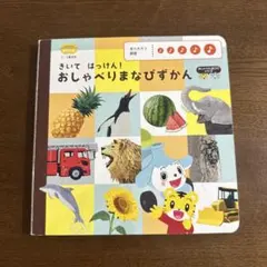 きいてはっけん! おしゃべりまなびずかん 2才　3才　こどもちゃれんじ
