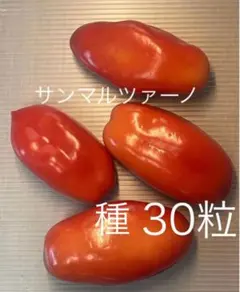 2026年最新】サンマルツァーノ 種の人気アイテム - メルカリ