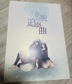 SoundHorizon 同人誌 Moira エレミシャ