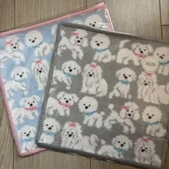 新品未使用　２枚セット　モフモフワンチャン　ハンカチ