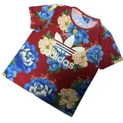 Item thumbnail for item c0a4ba0d-b733-4283-acb1-7f63005d88f6