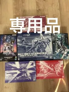 クスィーガンダム HGUC 1/144 部分塗装 艶消し済 - メルカリ