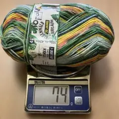 Opal REGENWALD 約74g 9770.3572