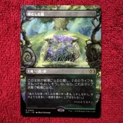 2026年最新】草むした墓の人気アイテム - メルカリ