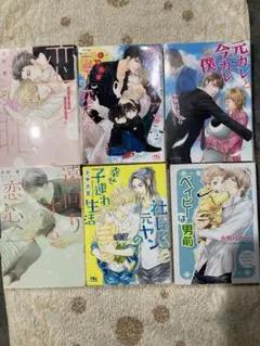 bl小説６冊まとめ売り／ 月村奎、小中大豆 、水無月さらら