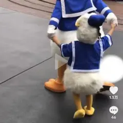 イメージ画像