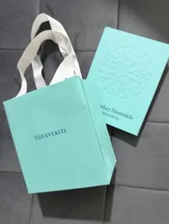 TIFFANY ティファニー　紙袋　ショッパー　アクセサリー用