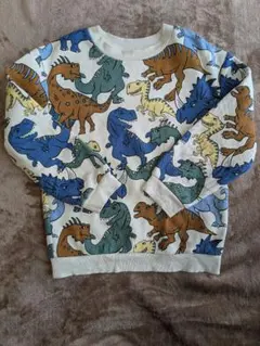 綺麗　H＆М　恐竜柄　裏起毛　トレーナー スウェット