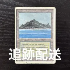 MTG Scrubland HP - メルカリ