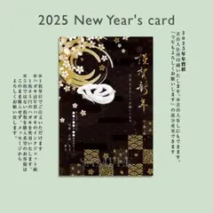 12/23注文締切☆オーダー2025年年賀状５枚☆黒金和柄白蛇リアル