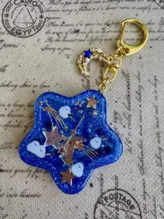 810 シマエナガ　流れ星⭐︎