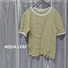 AQUALEAF ライトグリーンTシャツ Fサイズのサムネイル