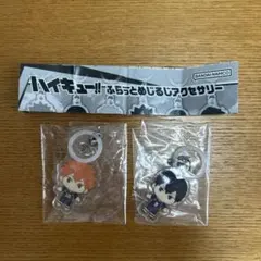 ハイキュー　ふらっとめじるしアクセサリー 日向翔陽&影山飛雄