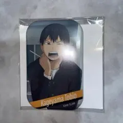 ハイキュー スクエア缶バッジコレクション 烏野高校 影山 飛雄