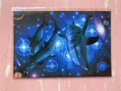 美品・額入り】Christian Riese Lassen（ラッセン）虹イルカ - メルカリ