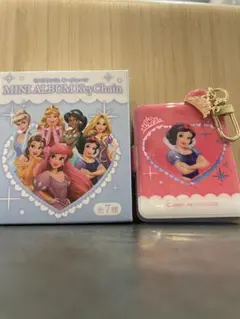 ディズニープリンセス シークレットキーチェーン ミニアルバム
