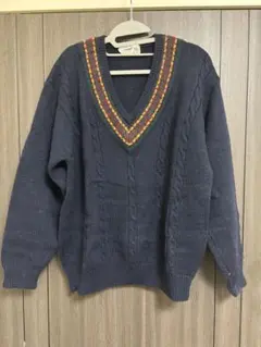 Crocodile Vネックニット Lサイズラスタカラー ヴィンテージ セーター