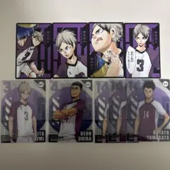 ハイキュー 白鳥沢 カードセット