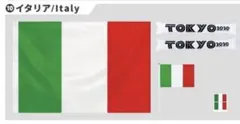 【イタリア】 国旗 応援セット
