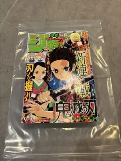 R*E様 週刊少年ジャンプ 鬼滅の刃 新連載号 第1話掲載 連載開始号 希少