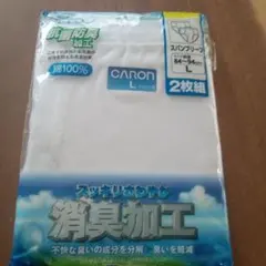 Item thumbnail for item 3ac86c2a-8da8-41fc-98d4-df27759d9b7f