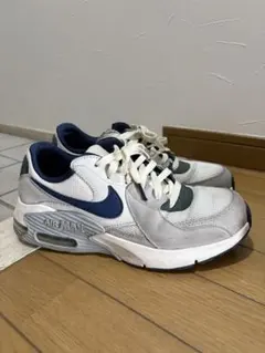 美品 ナイキ ウィメンズ エア マックス 90 LV8 24.5cm 2025年最新】アイアンボーンの人気アイテム - メルカリ