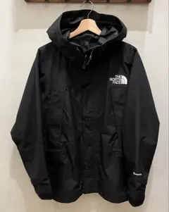 THE NORTH FACE マウンテンライトジャケット