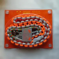 Item thumbnail for item 7f88b78a-21c1-499e-9a99-e033437ddad6