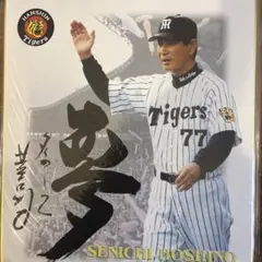 2026年最新】星野仙一 サインの人気アイテム - メルカリ