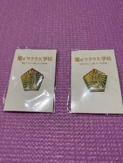 嵐　ワクワク学校　ピンバッチ