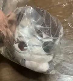 【再値下げ　未使用品】はぐキャラ ハンジ・ゾエ