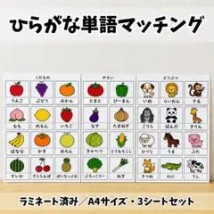 限定値下げ！ひらがな練習5シート 特別支援 モンテッソーリ 自立課題
