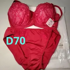 ブラジャー ショーツ セット D70 レッドのサムネイル