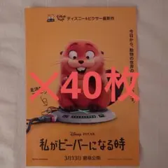 私がビーバーになる時 フライヤー