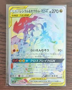 2026年最新】レシラム&ゼクロム hrの人気アイテム - メルカリ