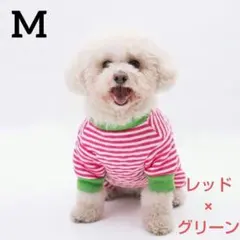犬用 ロンパース ボーダー柄 あったか 柔らか素材 犬服 つなぎ カラフル
